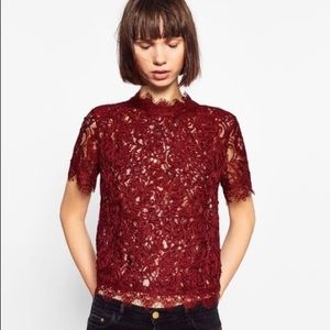 Zara embroidered burgundy lace top